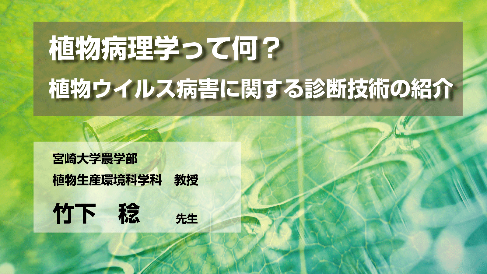 植物病理学って何？植物ウイルス病害に関する診断技術の紹介